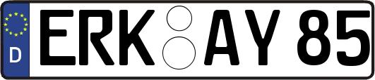 ERK-AY85