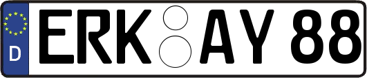 ERK-AY88