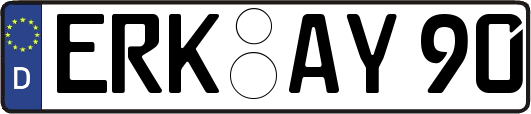 ERK-AY90