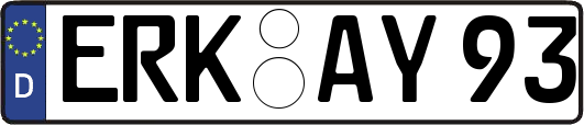 ERK-AY93