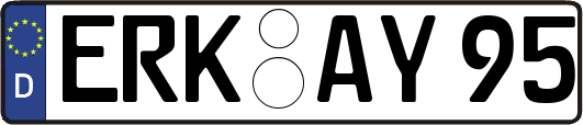 ERK-AY95