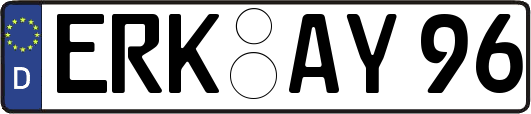 ERK-AY96
