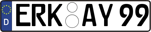 ERK-AY99