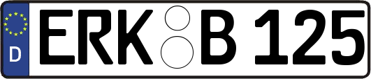 ERK-B125