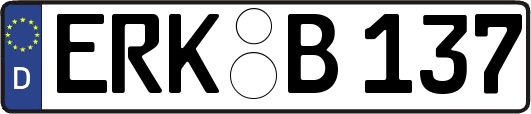 ERK-B137