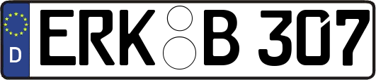 ERK-B307