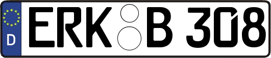 ERK-B308