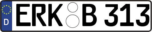 ERK-B313