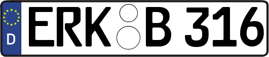 ERK-B316