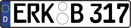 ERK-B317