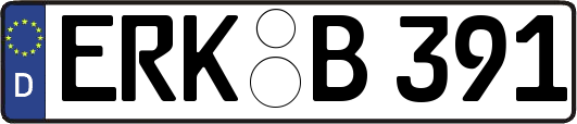 ERK-B391