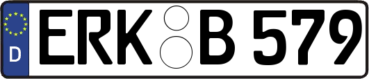 ERK-B579