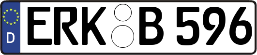 ERK-B596