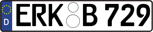 ERK-B729