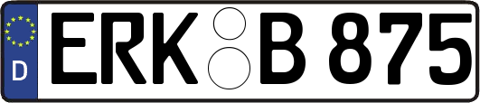 ERK-B875