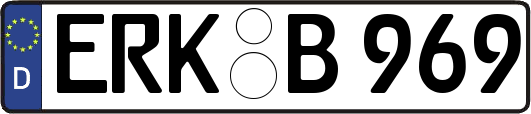 ERK-B969
