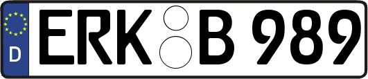 ERK-B989