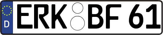 ERK-BF61