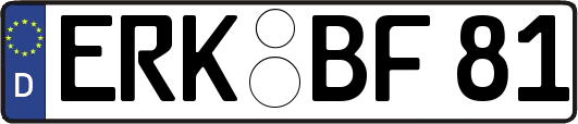 ERK-BF81