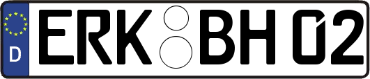 ERK-BH02
