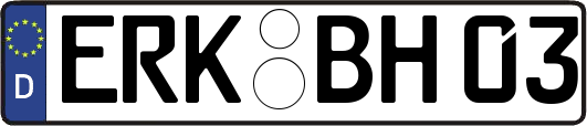 ERK-BH03
