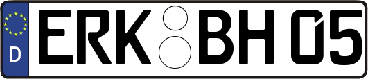 ERK-BH05