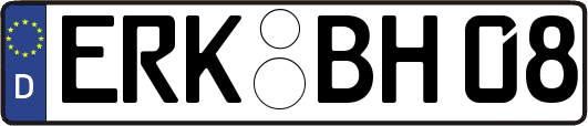 ERK-BH08
