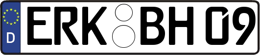ERK-BH09