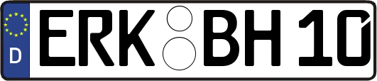 ERK-BH10