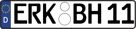 ERK-BH11