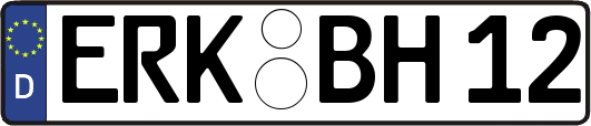ERK-BH12