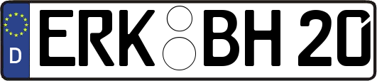 ERK-BH20