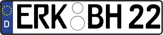 ERK-BH22