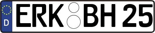 ERK-BH25