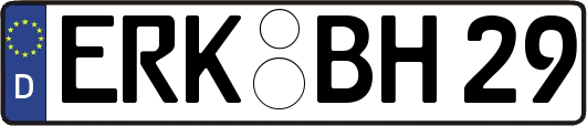 ERK-BH29