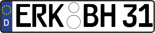 ERK-BH31