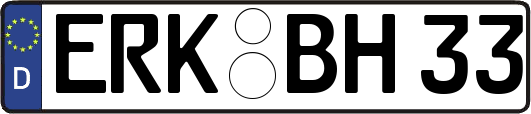 ERK-BH33