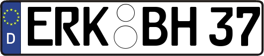 ERK-BH37