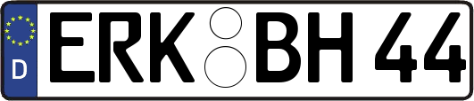 ERK-BH44