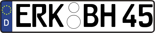 ERK-BH45