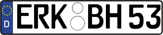 ERK-BH53
