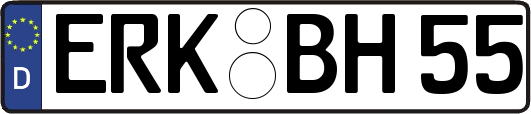 ERK-BH55