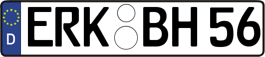 ERK-BH56
