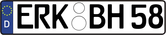 ERK-BH58