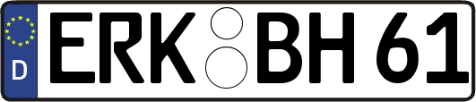ERK-BH61