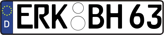 ERK-BH63
