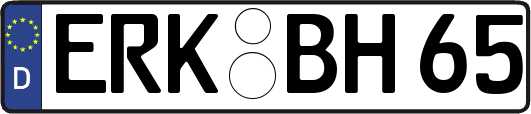 ERK-BH65