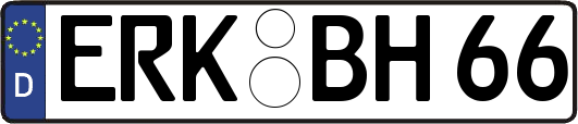 ERK-BH66