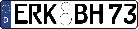 ERK-BH73