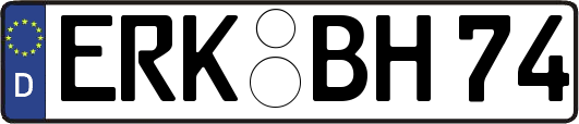 ERK-BH74